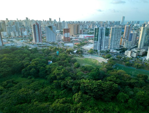 Incontournables : Les Meilleurs Documentaires Musicaux à Découvrir Absolument !