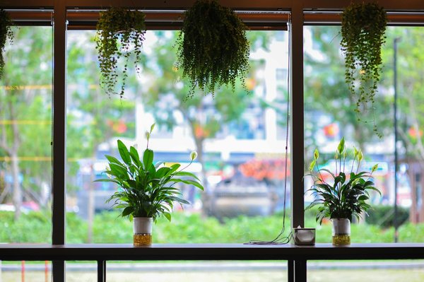 Les jus de fruits : un voyage vers le bien-être naturel